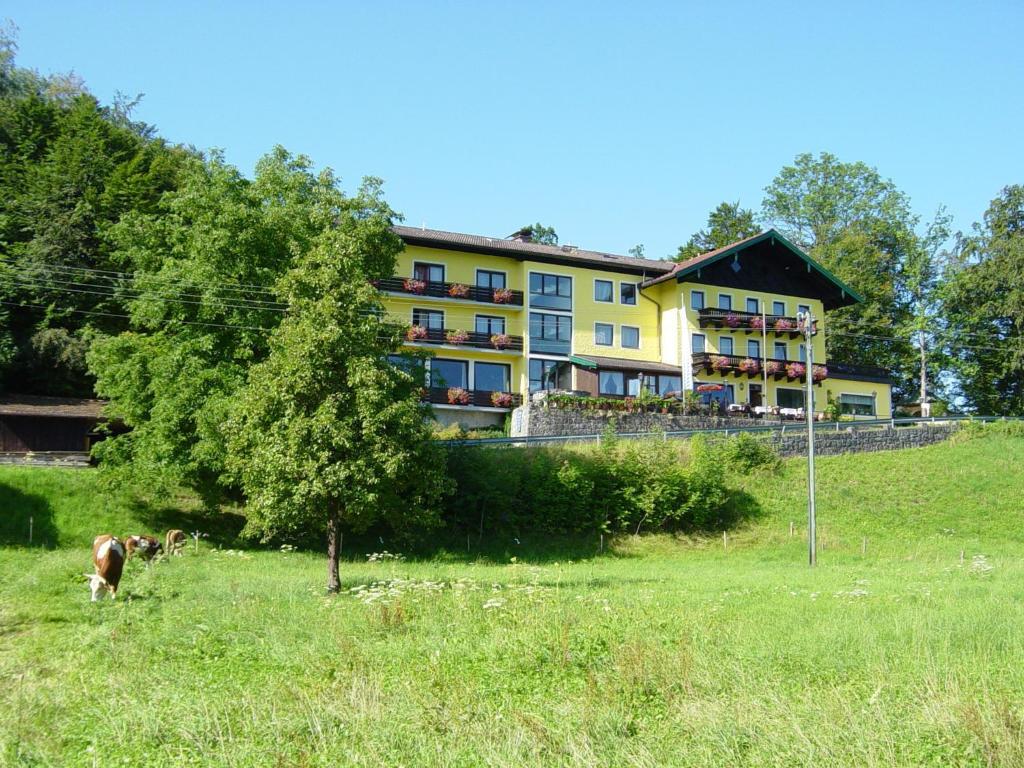 Hotel Zur Schonen Aussicht Übersee Eksteriør billede
