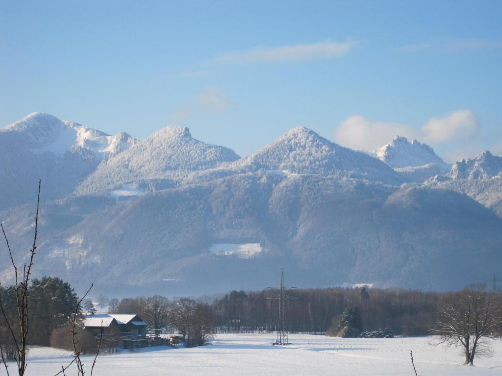 Hotel Zur Schonen Aussicht Übersee Eksteriør billede